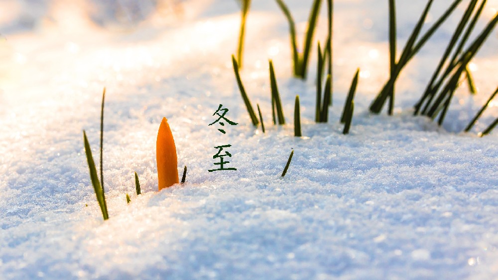 小饺子，大温暖，济南京华邦威祝大家冬至快乐